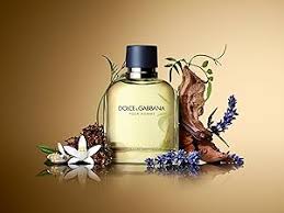 Dolce & Gabbana Pour Homme - Image 2